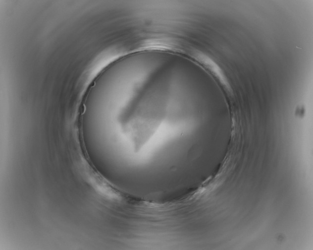 X0000091851427200709051137