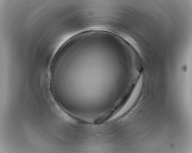 X0000091851428200709051137