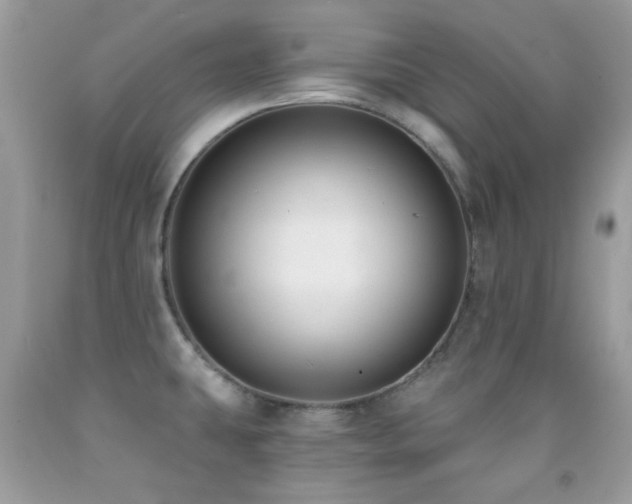 X0000091851431200709051137