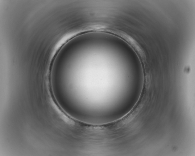 X0000091851432200709051137