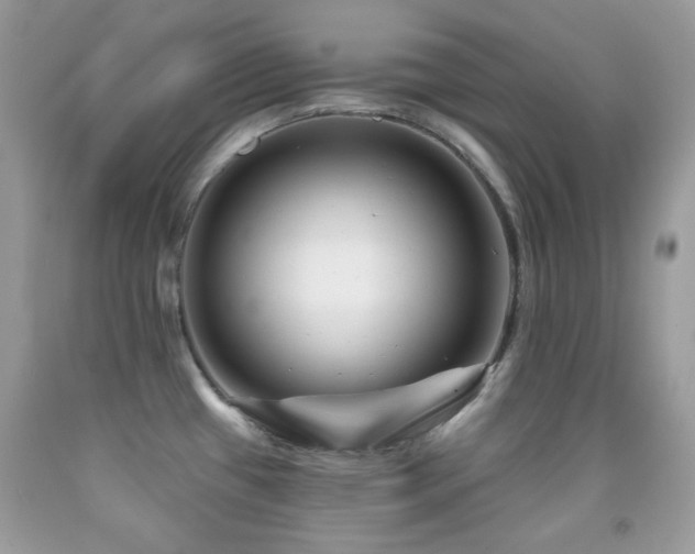 X0000091851433200709051137