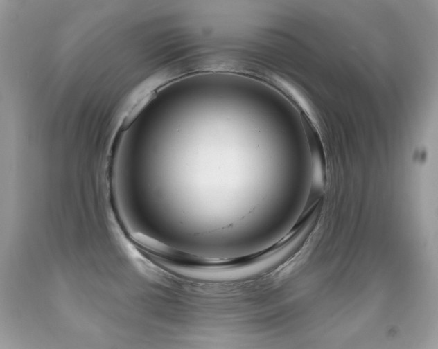 X0000091851434200709051137