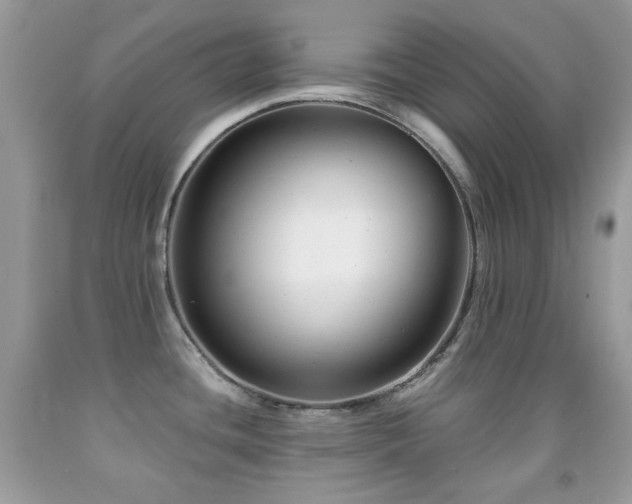 X0000091851436200709051137