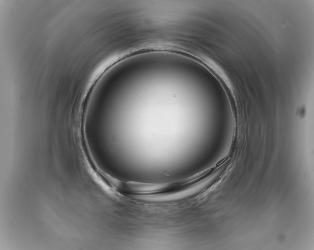 X0000091851437200709051137