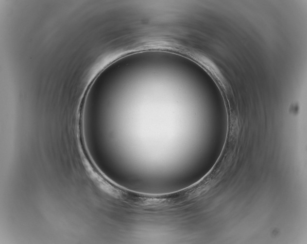 X0000091851439200709051137