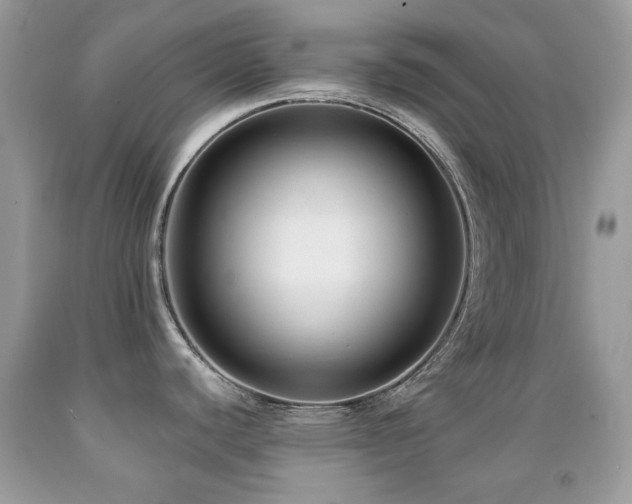 X0000091851440200709051137