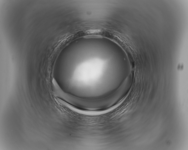 X0000091851441200709051137