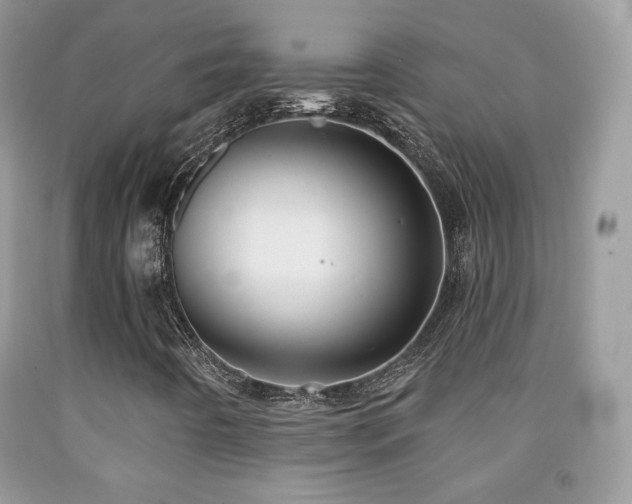 X0000091851442200709051137