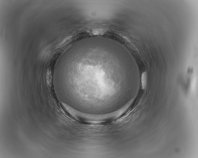 X0000091851443200709051137