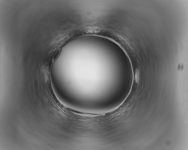 X0000091851444200709051137