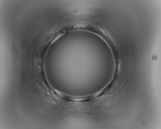 X0000091851445200709051137
