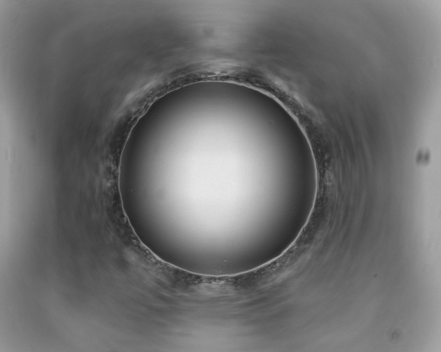 X0000091851447200709051136