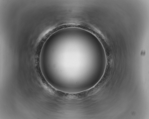 X0000091851448200709051136