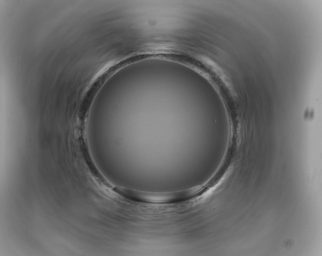 X0000091851449200709051136