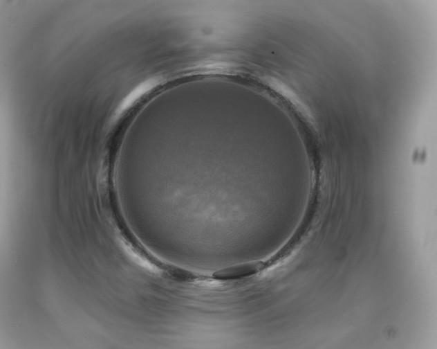 X0000091851450200709051136