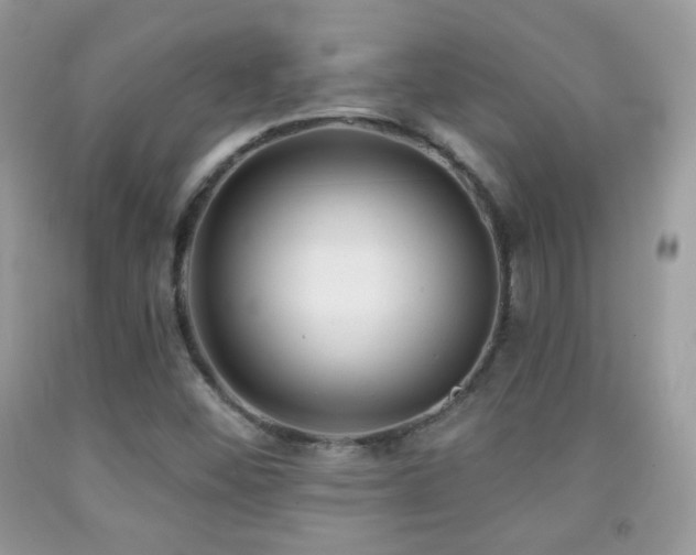 X0000091851452200709051136