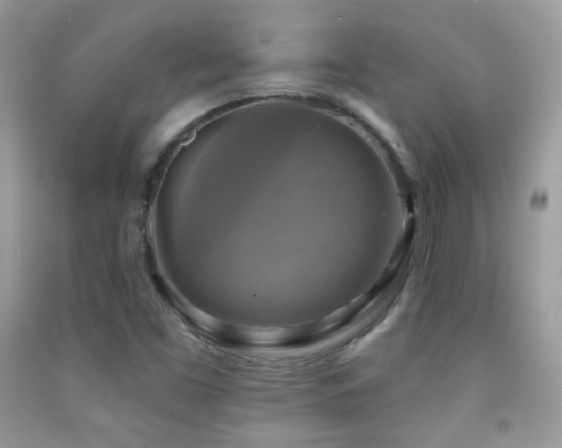 X0000091851453200709051136