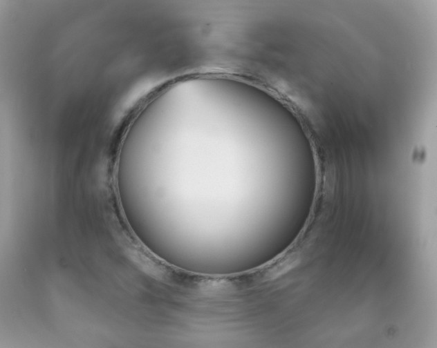 X0000091851454200709051136