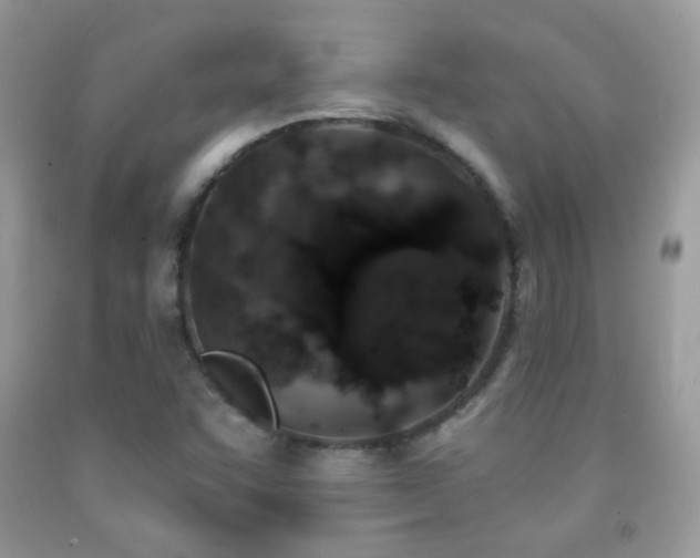X0000091851455200709051136