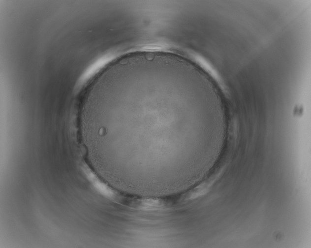 X0000091851456200709051136