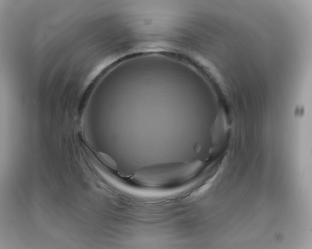 X0000091851457200709051136