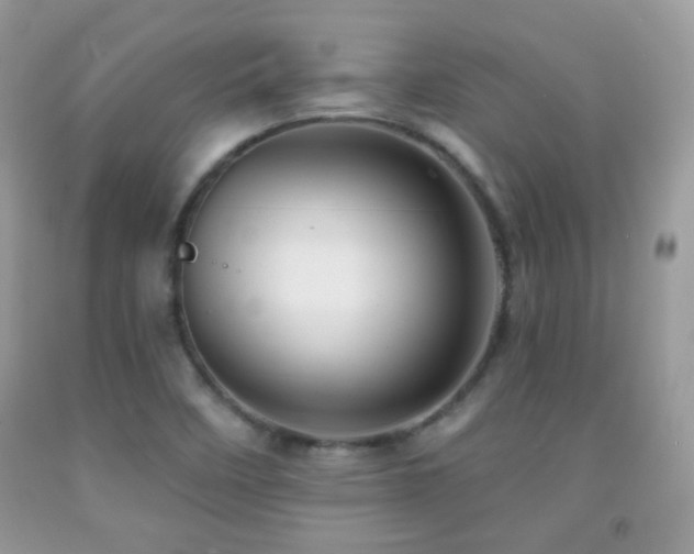 X0000091851458200709051136