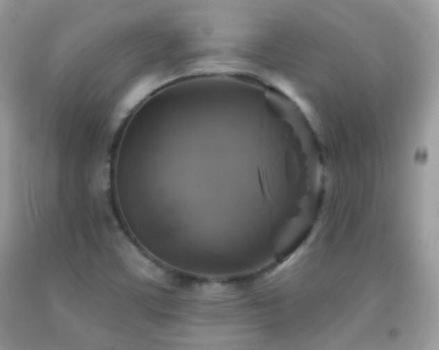 X0000091851459200709051136
