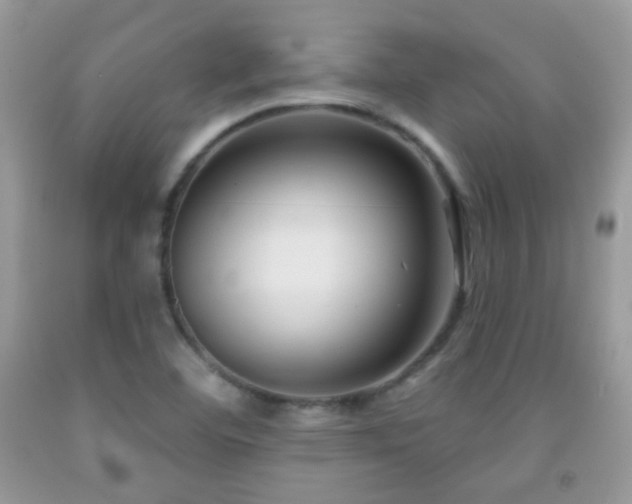 X0000091851460200709051136
