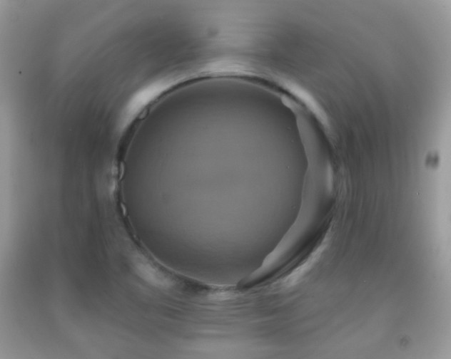 X0000091851461200709051136