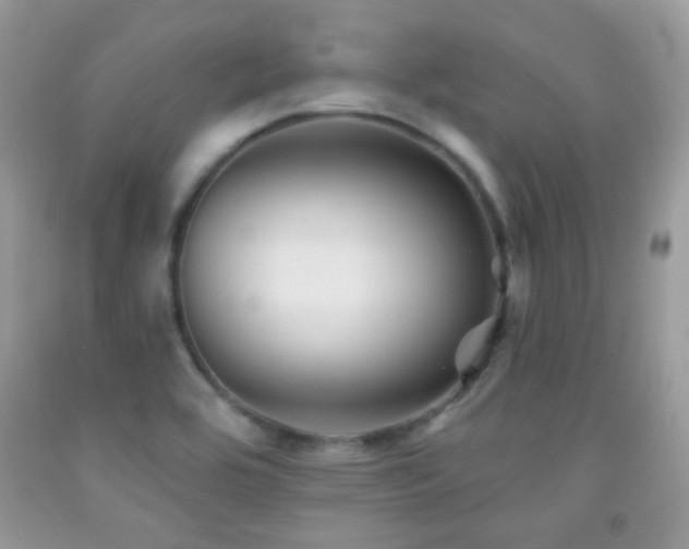 X0000091851464200709051136
