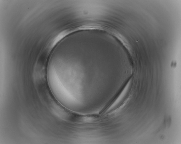 X0000091851465200709051136