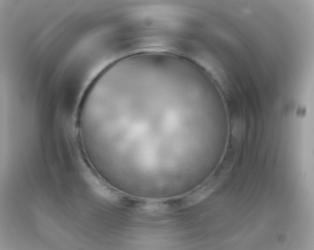 X0000091851466200709051136