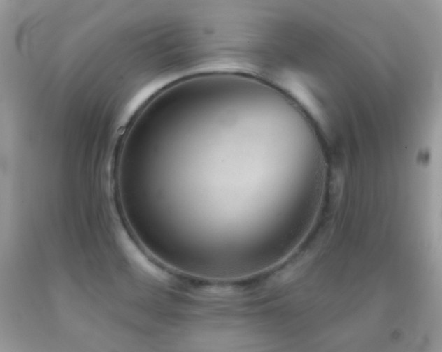 X0000091851468200709051136