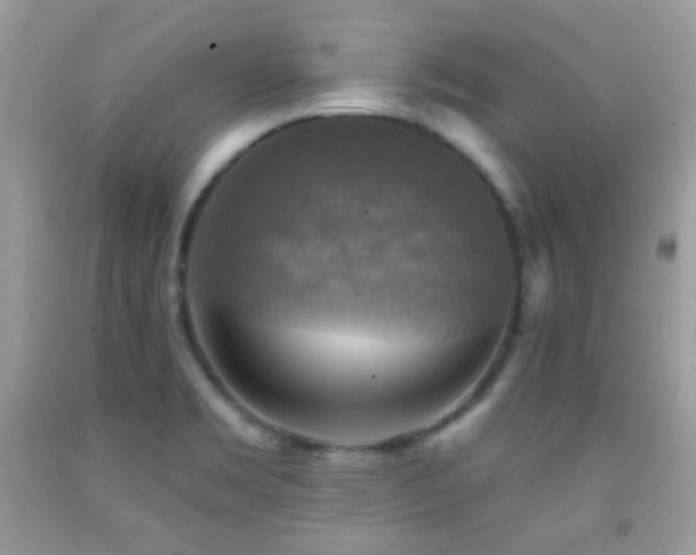 X0000091851469200709051136