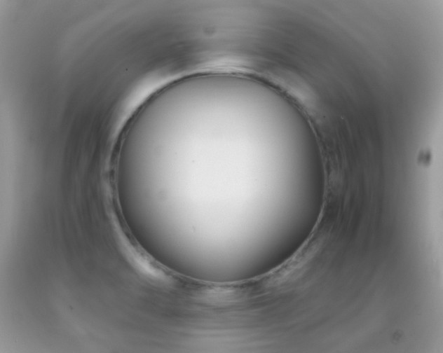 X0000091851470200709051136