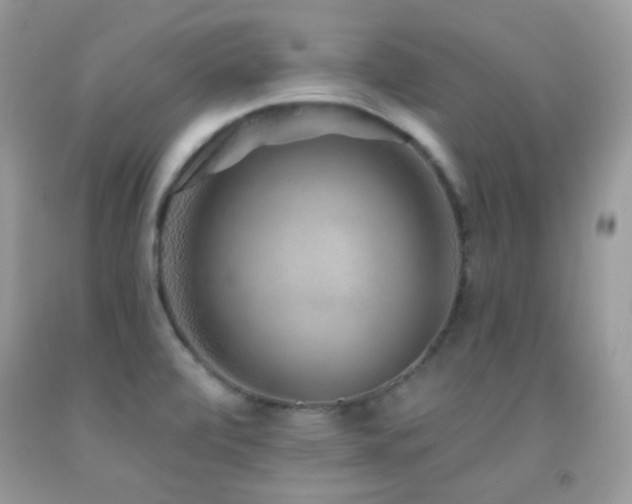 X0000091851472200709051136