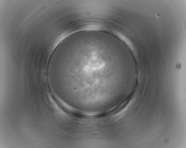 X0000091851473200709051136