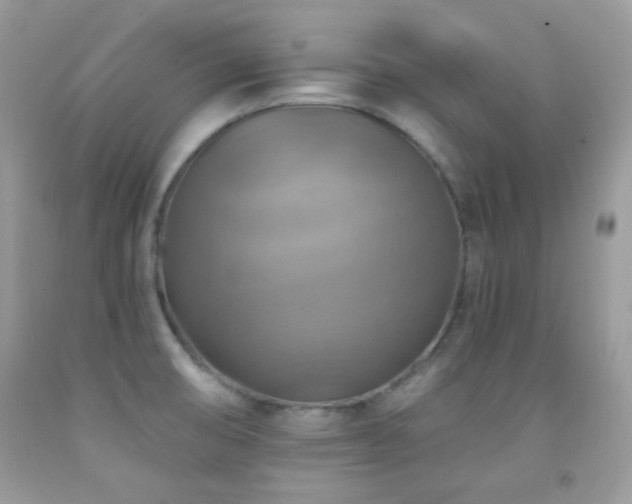 X0000091851474200709051136