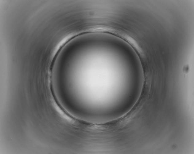 X0000091851476200709051136