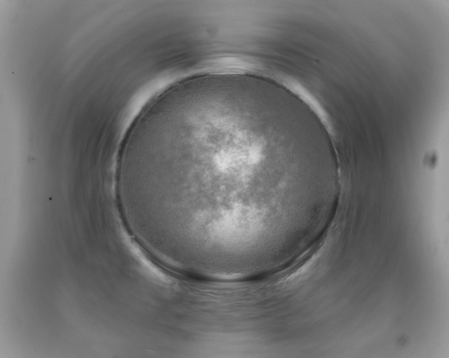 X0000091851477200709051136