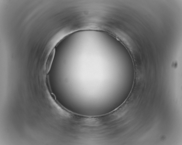 X0000091851479200709051136