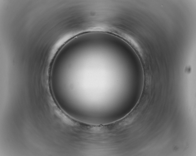 X0000091851480200709051136