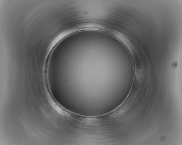 X0000091851482200709051136