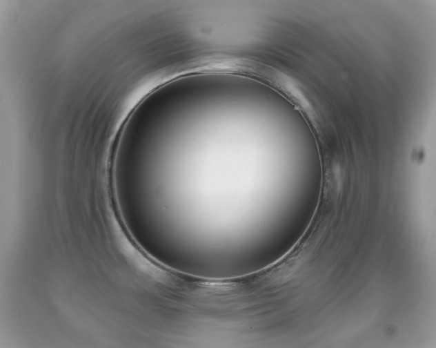 X0000091851483200709051136