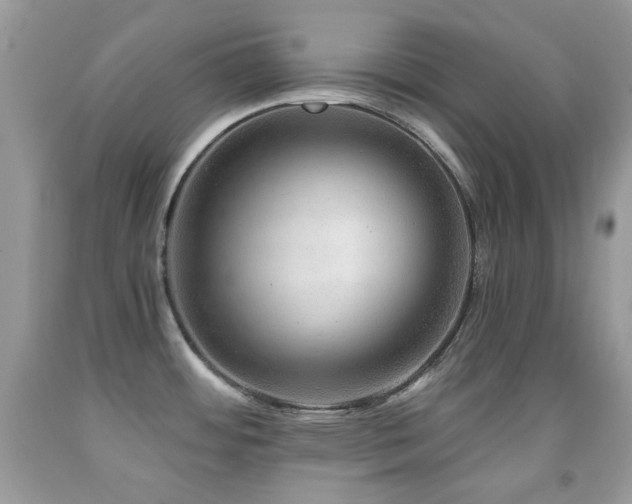 X0000091851484200709051136