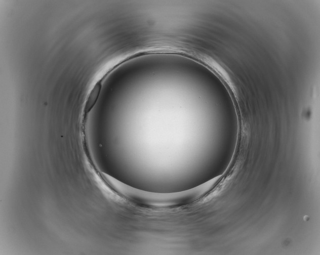 X0000091851485200709051136