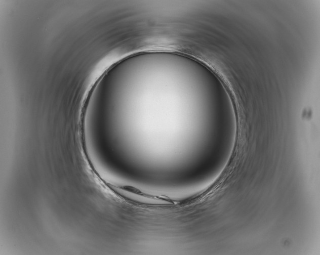 X0000091851488200709051136