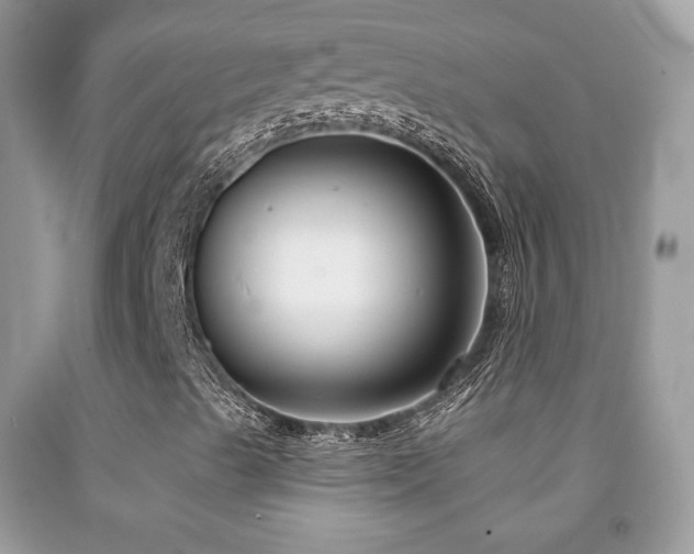 X0000091851489200709051135
