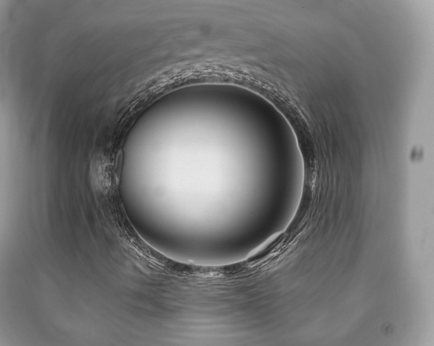 X0000091851490200709051135