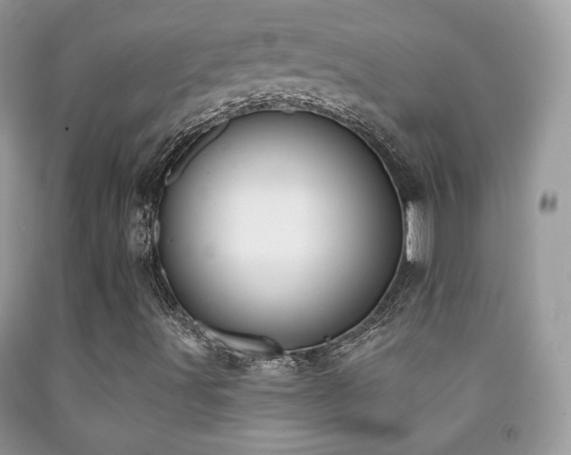 X0000091851491200709051135